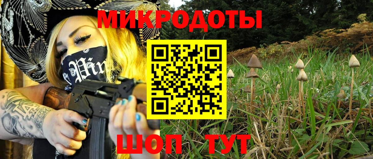 Галлюциногенные грибы Psilocybe Ярославль