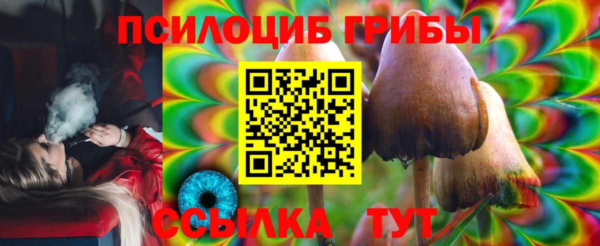 Ярославль  Псилоцибиновые грибы Cubensis  хочу   Вход с VPN 